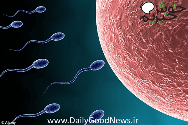 ساخت تخمک و اسپرم با سلول پوست
